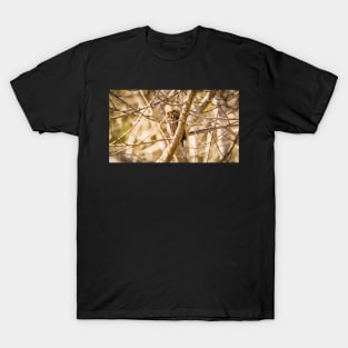 Pygmy Owl Perched in a Tree T-Shirt